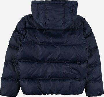 TOMMY HILFIGER - Ajuste regular Chaqueta de invierno 'Essential' en azul