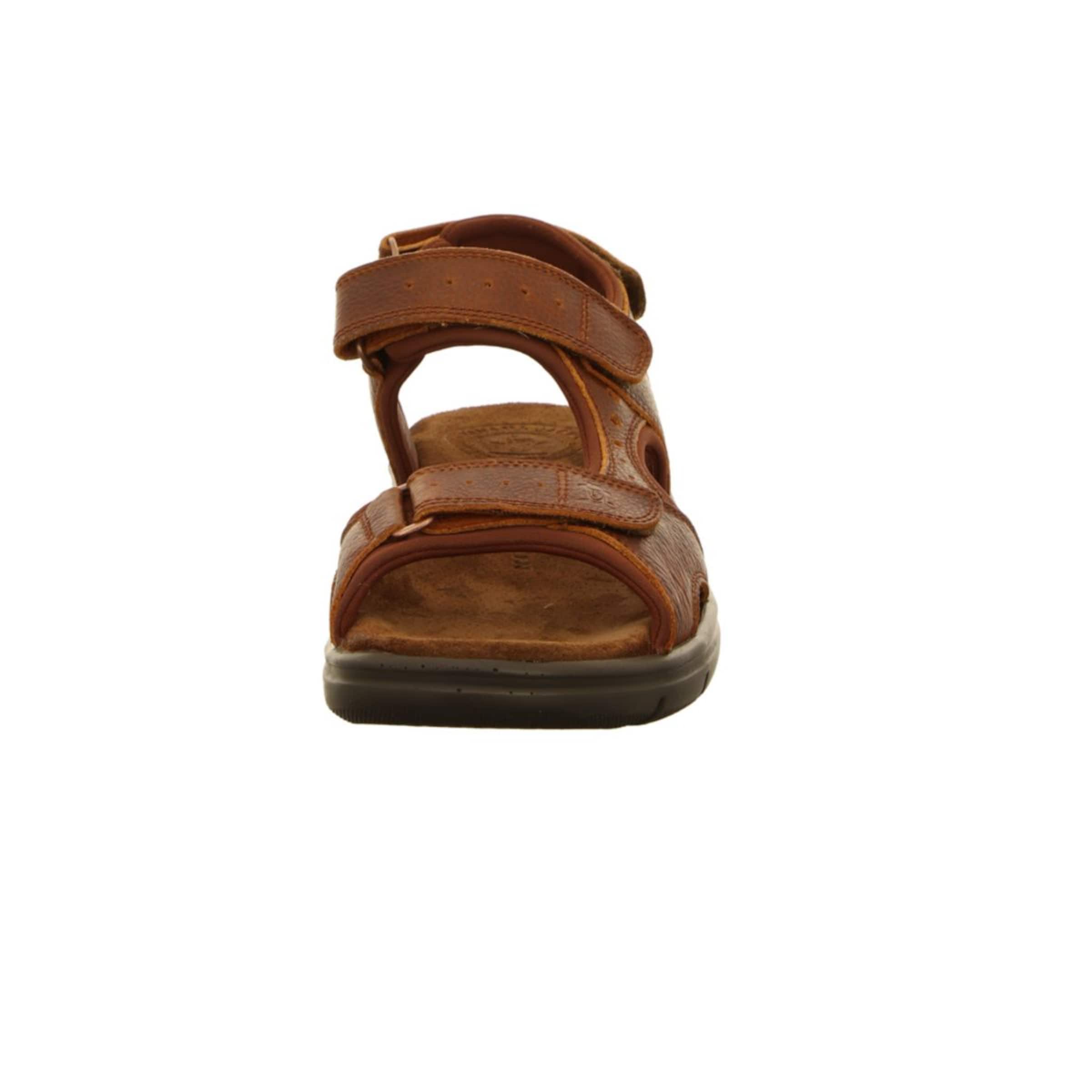 PANAMA JACK Sandals in Brown