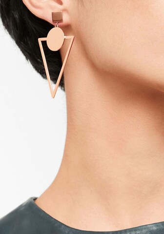 Liebeskind Berlin Earrings 'Dreieck' in Gold: front