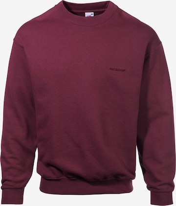 FRUIT OF THE LOOM Sweatshirt in Red: front