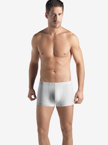 Hanro Boxer shorts ' Cotton Sporty ' in White: front