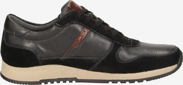 SIOUX Sneaker 'Rojaro' in Schwarz