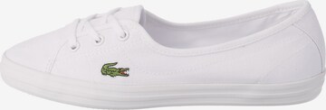 LACOSTE Sneakers laag 'Ziane Chunky' in Wit