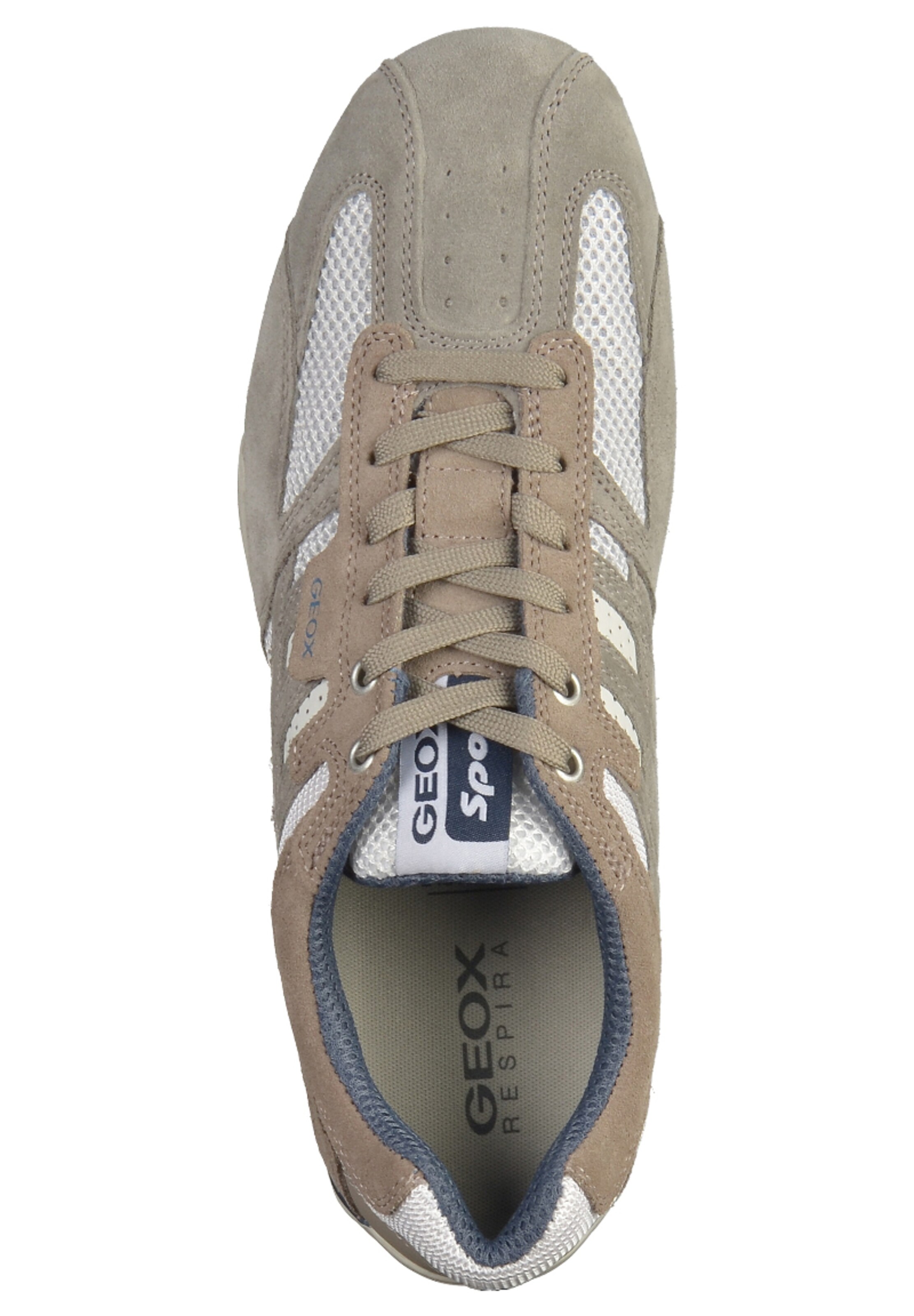 Baskets basses GEOX en gris