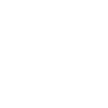 Gino Rossi Logo