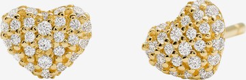 MICHAEL Michael Kors Earrings 'MKC1119AN710' in Gold: front