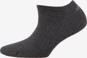 s.Oliver Socken in Grau