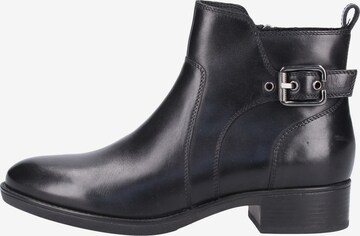 GEOX Stiefelette in Schwarz