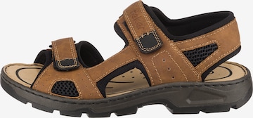 Rieker Sandals in Brown