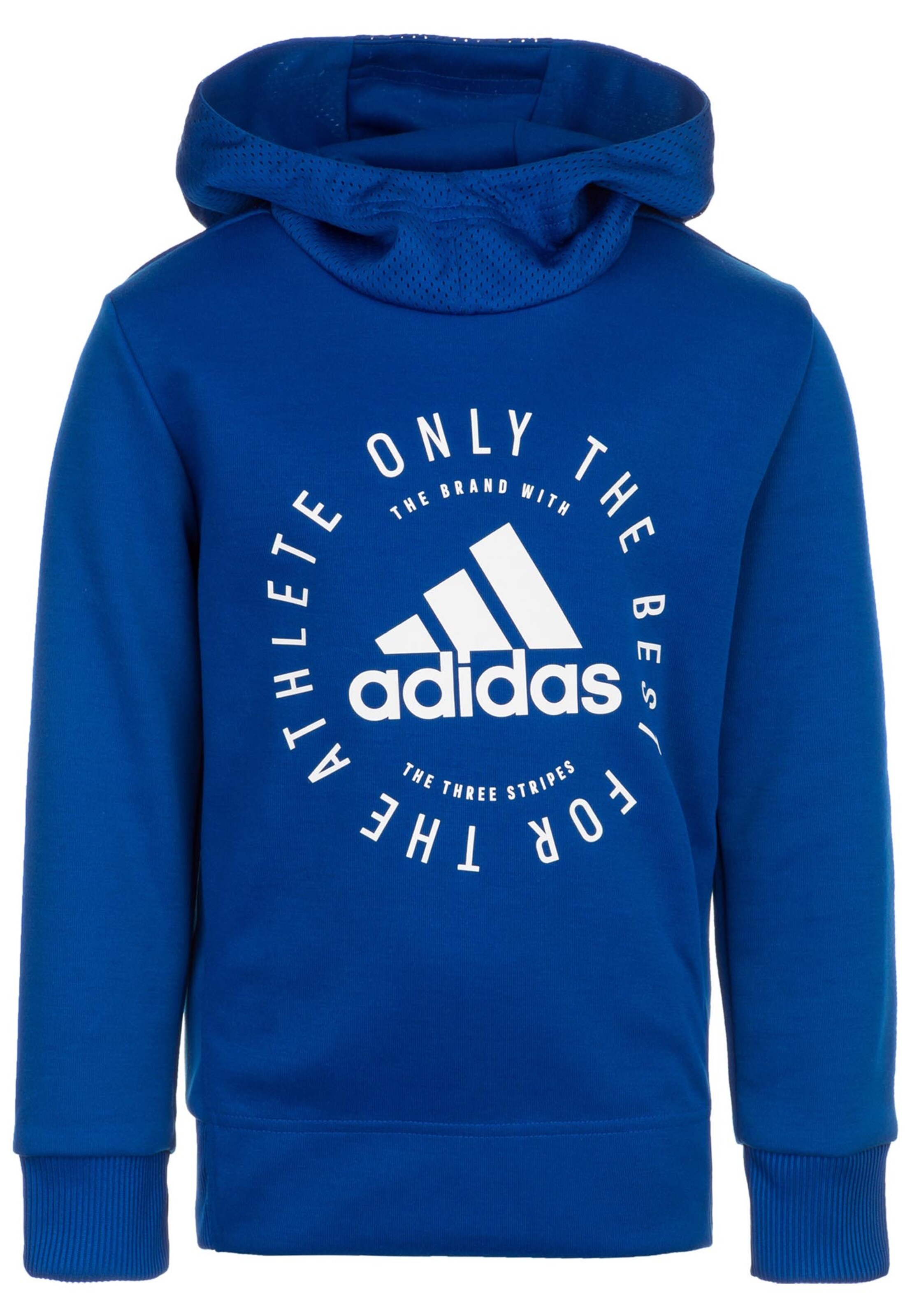 ADIDAS PERFORMANCE - Sportief sweatshirt 'Sid Po' in de kleur Blauw
