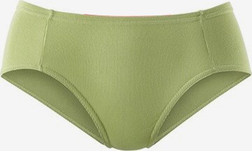 Panty di PETITE FLEUR in colori misti