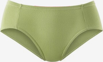 PETITE FLEUR Panty in Mischfarben