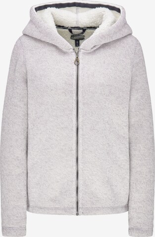 DREIMASTER Zip-Up Hoodie in Grey: front