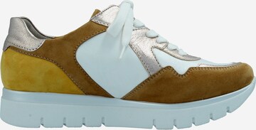 SEMLER Sneakers in Mixed colors