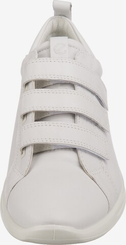 ECCO Sneakers in White