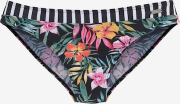 Pantaloncini per bikini di VENICE BEACH in nero: frontale