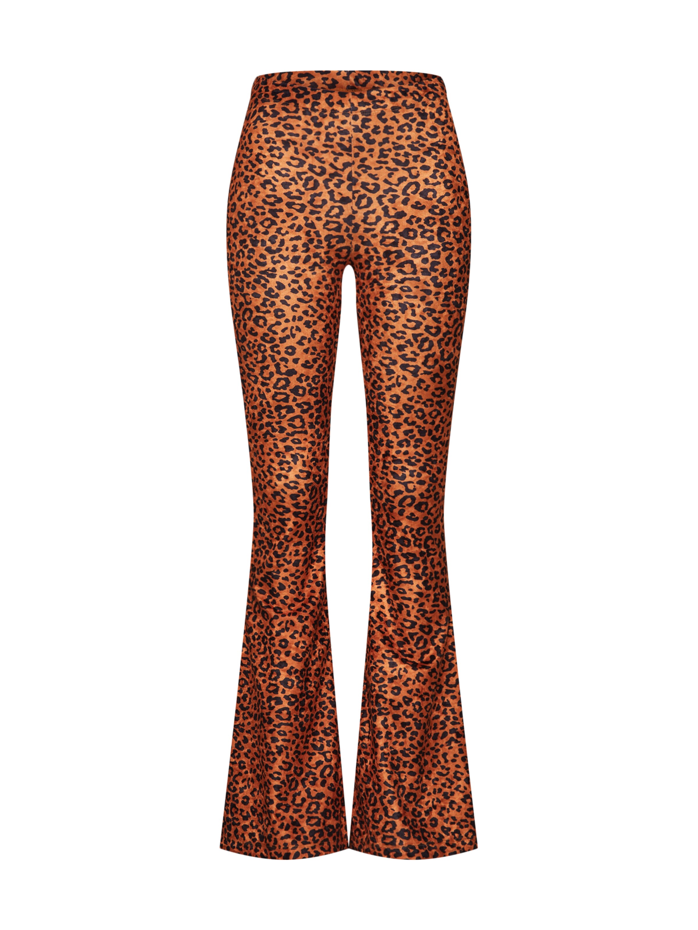 CATWALK JUNKIE - Broek 'TR GOLDEN LEO' in de kleur Bruin