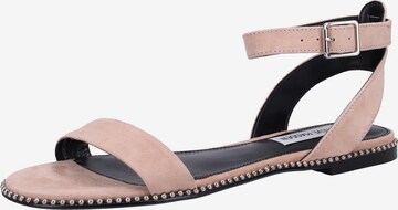 Sandales à lanières STEVE MADDEN en beige : devant