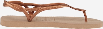 HAVAIANAS - Sandalias de dedo 'Luna' en bronce: lado