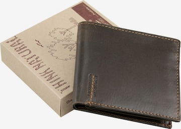 Greenland Nature Wallet in Brown: front