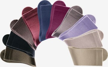 GO IN Sokken in Gemengde kleuren: voorkant