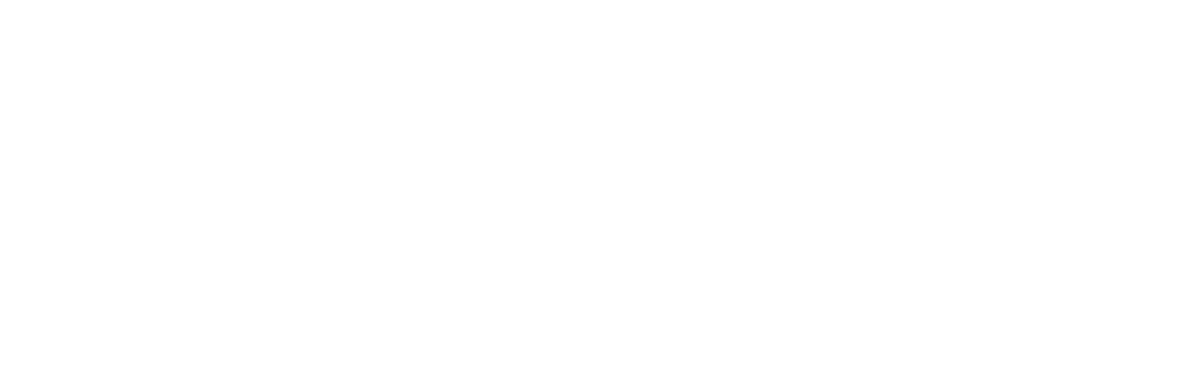 seidensticker Logo
