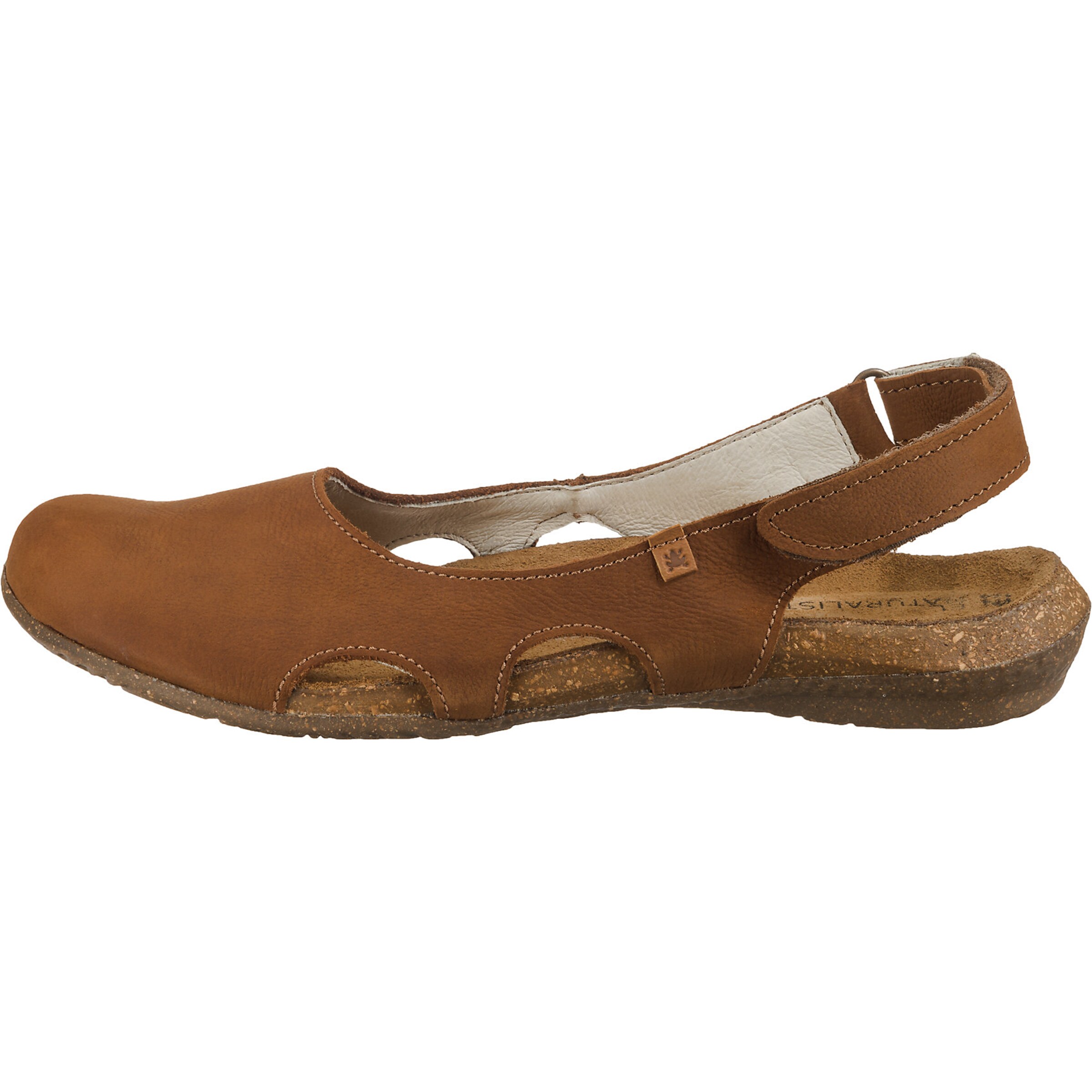 EL NATURALISTA Ballerina 'Wakataua' in Bruin