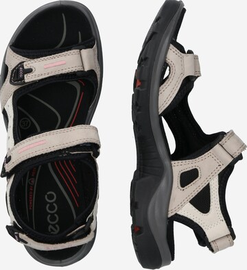 ECCO Pohodni sandali 'Offroad' | bež barva