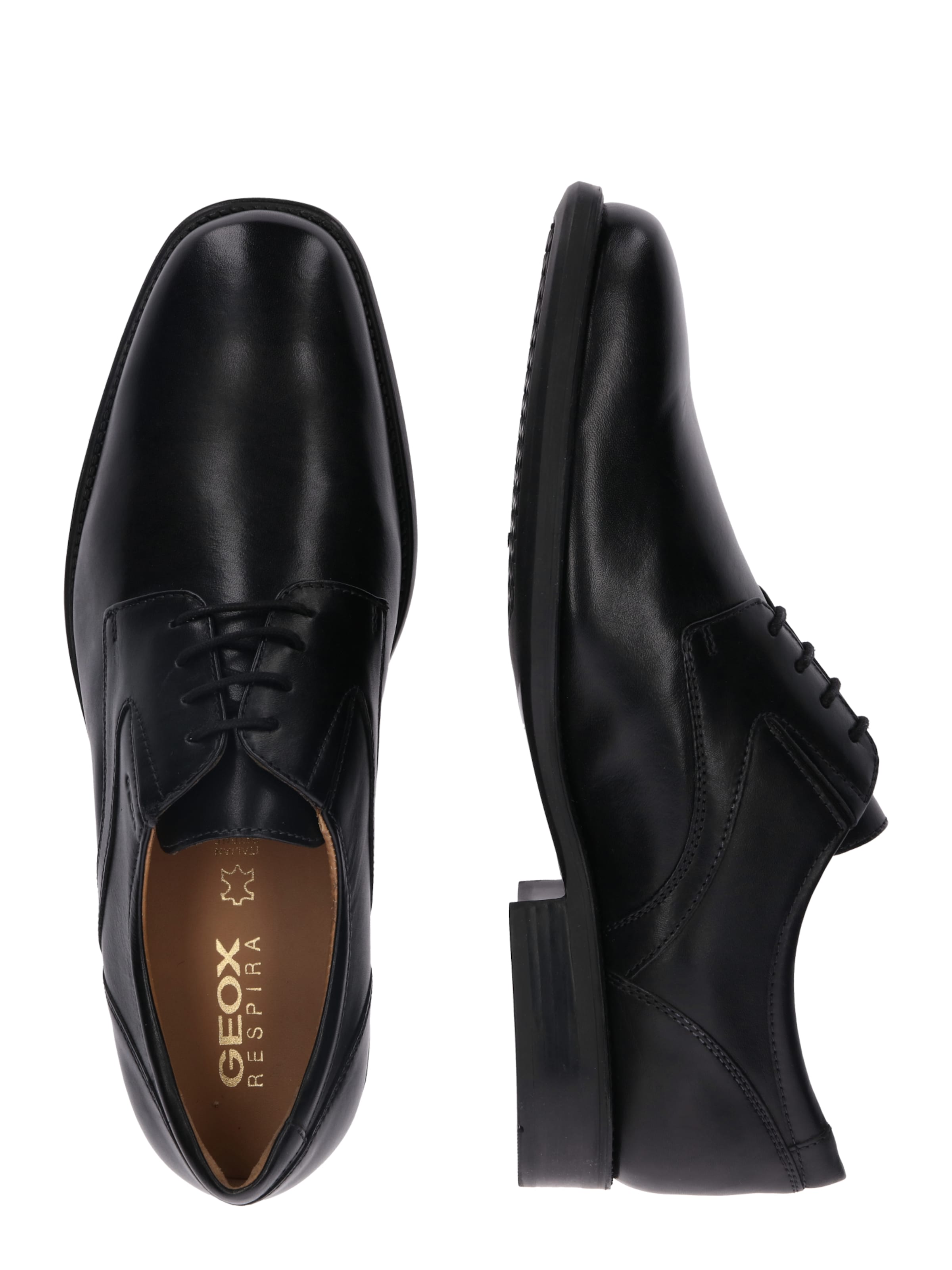 GEOX Knytsko 'Federico' i svart