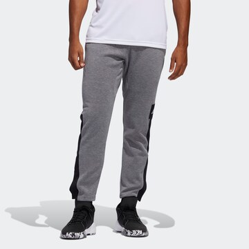 Regular Pantalon de sport ADIDAS PERFORMANCE en gris : devant