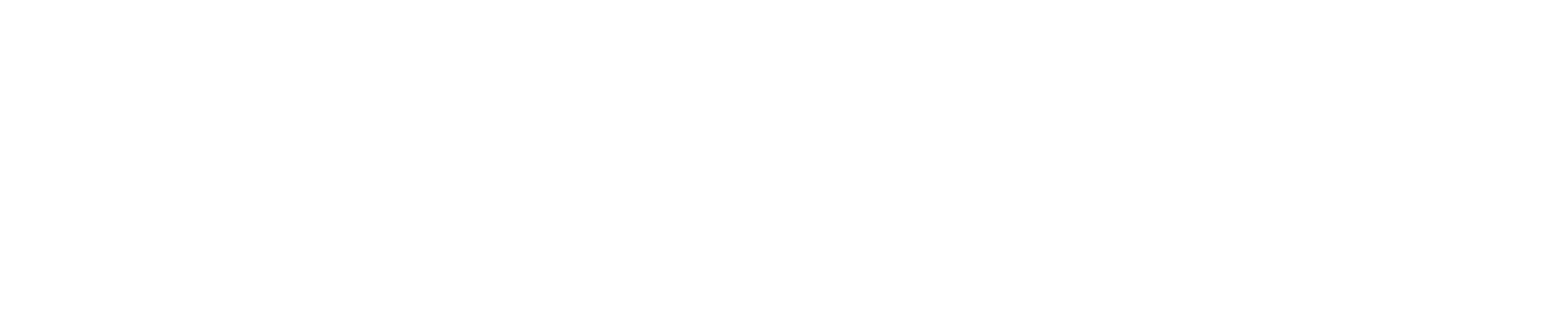 Skiny Logo