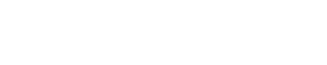 Skiny Logo