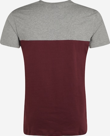 Iriedaily T-Shirt in Rot: zadná strana