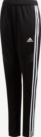 ADIDAS PERFORMANCE Regular Sportbroek 'Tiro 19' in Zwart: voorkant