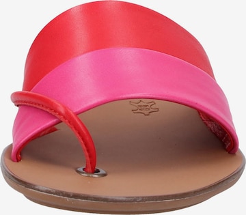 Paul Green Teenslipper in Roze