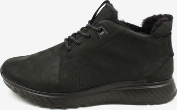 ECCO Lace-Up Shoes in Black