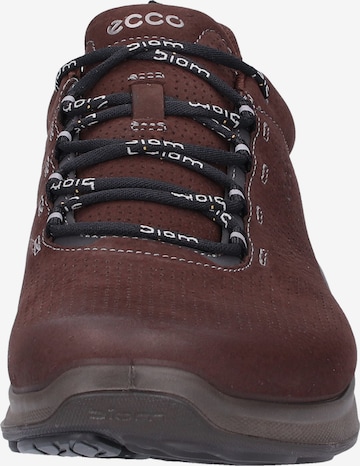 ECCO Sneakers 'Biom Fjuel' in Brown