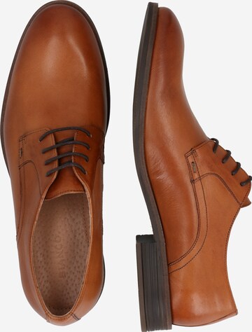 Bianco Lace-Up Shoes in Brown