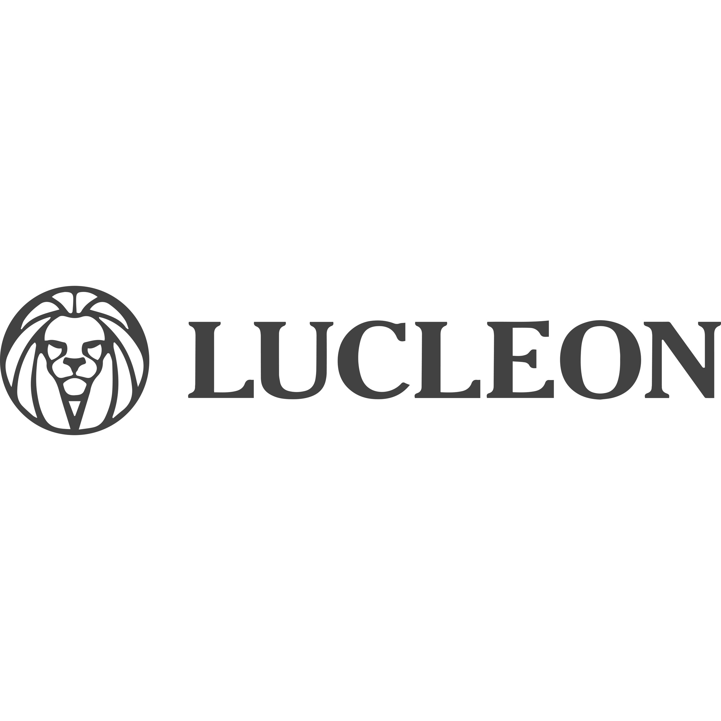 Lucleon
