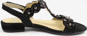 ARA Sandals in Black