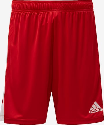 ADIDAS SPORTSWEAR Regular Shorts in Rot: predná strana