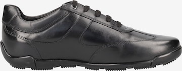 GEOX Sneakers 'Edgeware' in Black