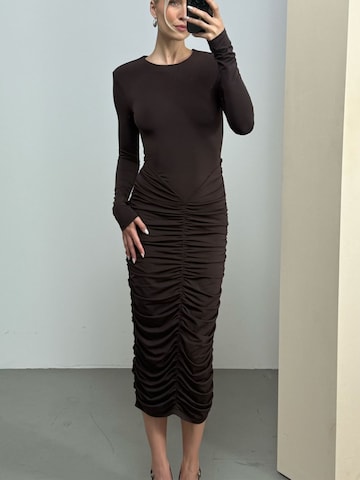 Brown Chic Dress Look