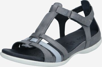 ECCO Sandalen met riem 'Flash' in Grijs: voorkant