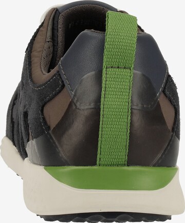 GEOX Sneakers laag in Zwart