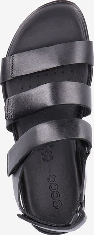 ECCO Sandalen met riem 'Flash' in Zwart