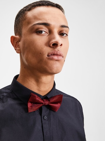 JACK & JONES Bow Tie 'COLOMBIA' in Red: front