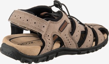 GEOX Hiking Sandals 'S.Strada' in Brown