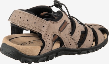 GEOX Wandelsandalen 'S.Strada' in Bruin