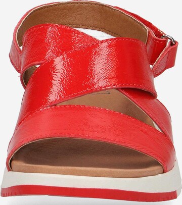 CAPRICE Sandals in Red